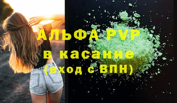 крисы Осташков