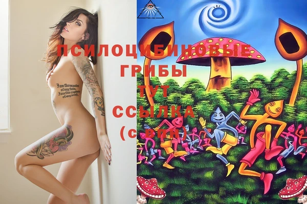 бутират Осинники