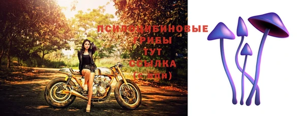 прущие крисы Нязепетровск
