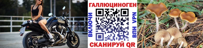 mega как зайти  Ленинск  Галлюциногенные грибы прущие грибы 