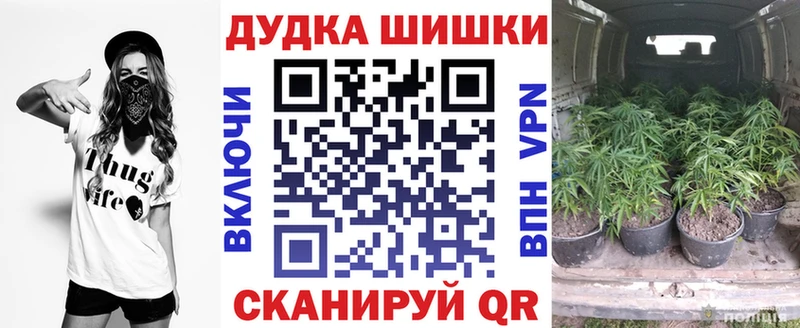 цены   Ленинск  Конопля индика 